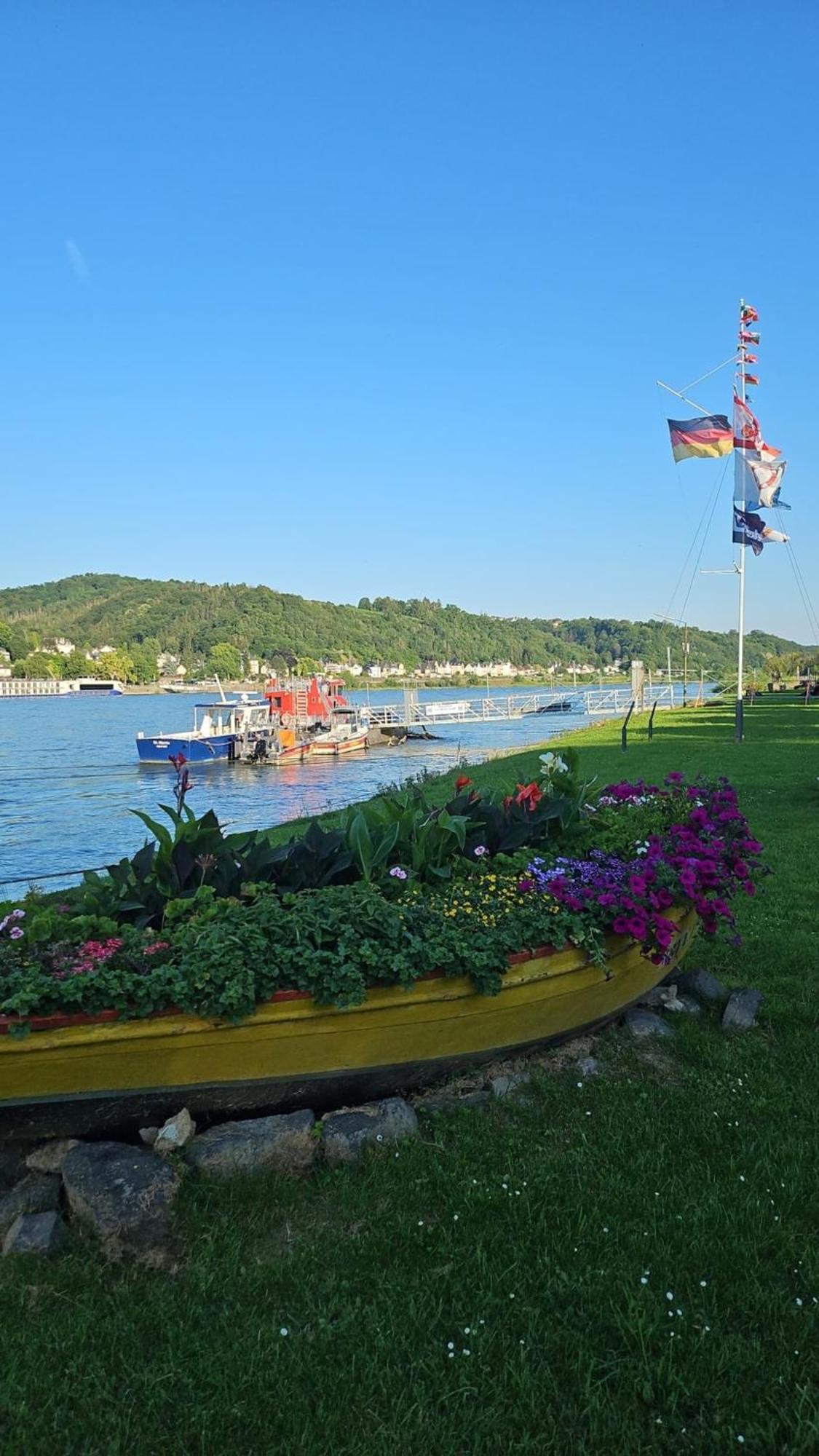 Ferienwohnung Mit Rheinblick In Remagen 1 エクステリア 写真